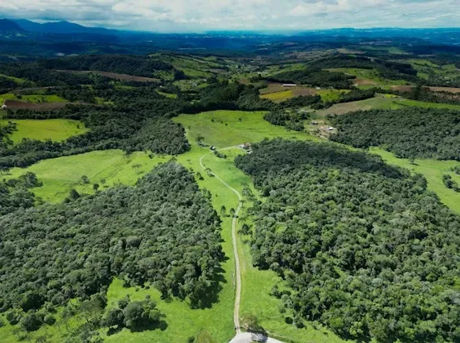 Fazenda com 63 hectares à Venda - Santa Catarina