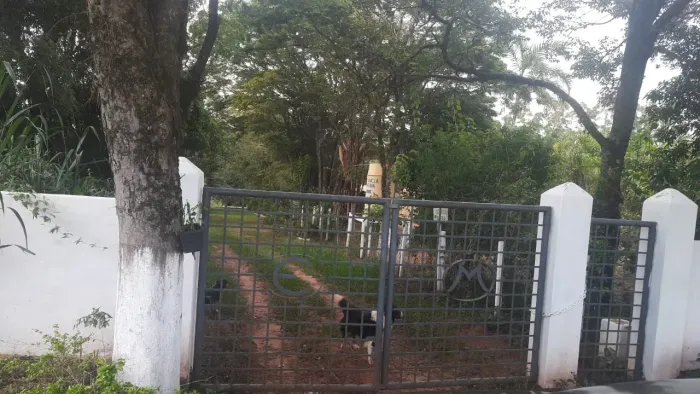 SÍTIO EM PRATÂNIA, 4 ALQ, ÁGUA, FRUTAS E CASAS - PRATÂNIA - SP