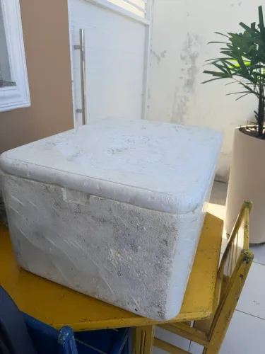 Caixa de isopor