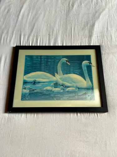 Quadro Lenticular Cisnes 40x30 com ilusão de ótica/imagem