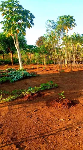 CASA GRANDE VILA HORIZONTE - TANGARÁ DA SERRA - VENDE OU TROCA 
