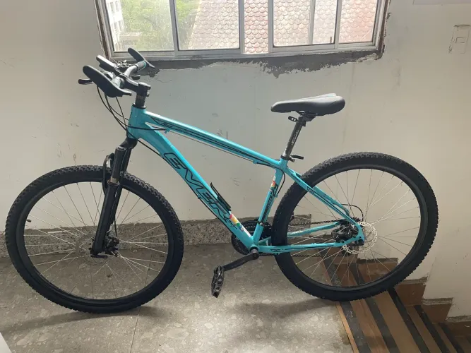 Bicicleta 29