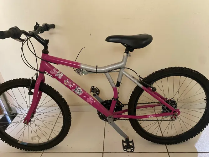 Bicicleta aro 24