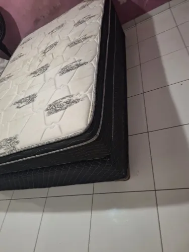 Cama box