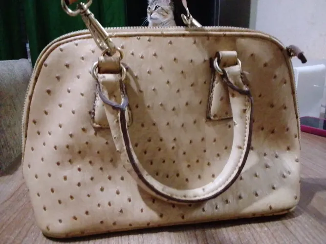 Bolsa couro de avetruz