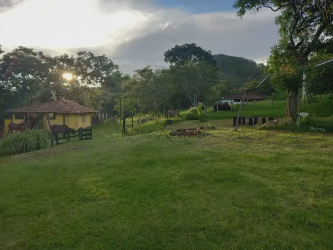 Fazenda Serra da Mantiqueira 60 alqueires - Piquete - SP