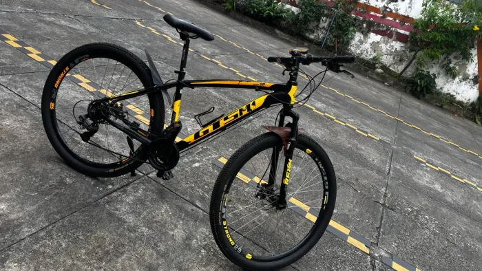 Montambike,Aro 29, 21Marchas