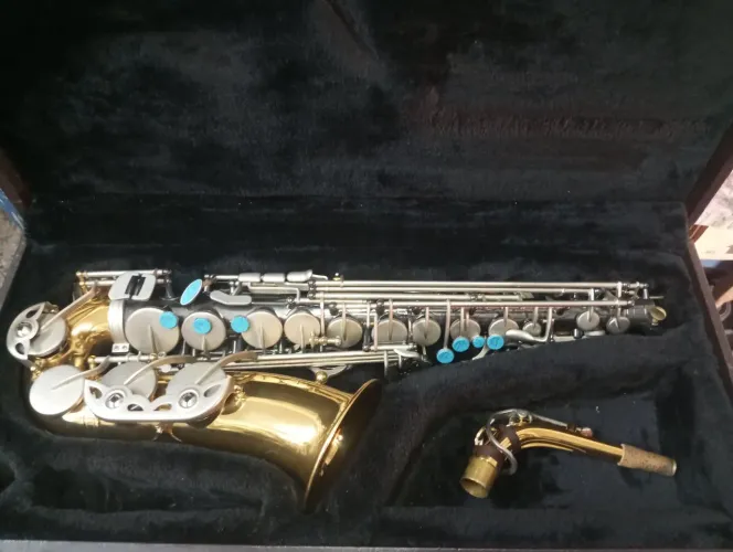 Sax Alto Hoyden Linha Custom