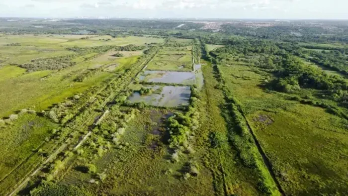 fazenda com 49.7 hectares na grande natal próximo a Extremoz