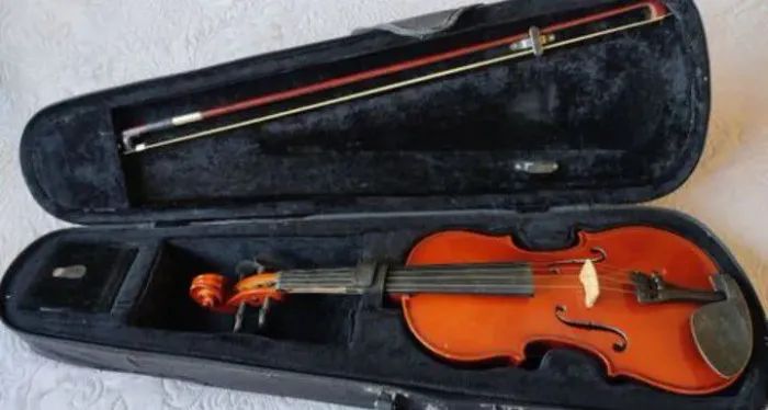 Violino