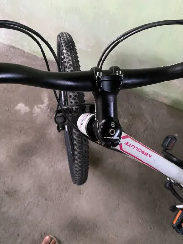 Bike aro 29 raio inox 