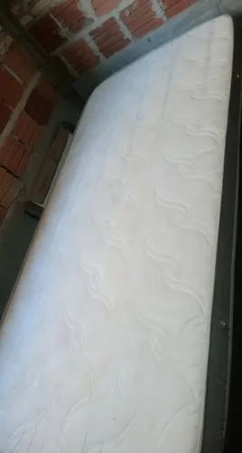 Cama