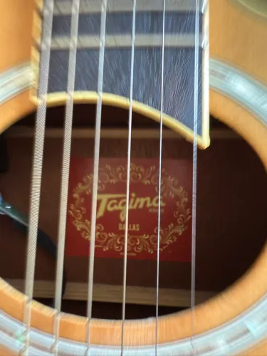 Violao tagima
