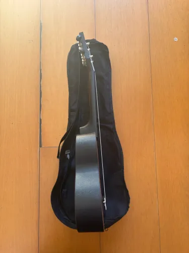 Ukulele Winner colors
