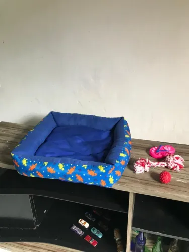 Cama e brinquedos pet