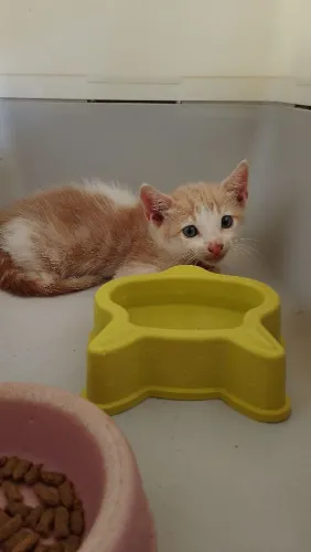 Doação responsável 