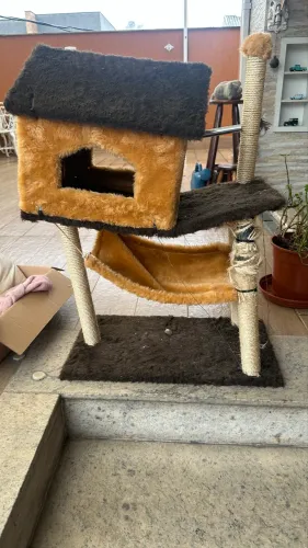Casinha de gato 
