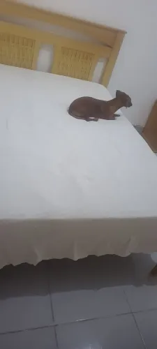 Cama sem colchão
