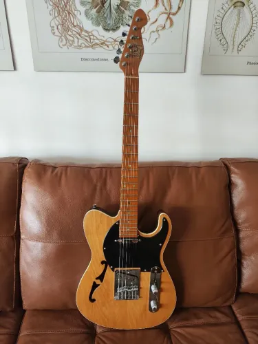 Guitarra Telecaster WSJ luthier