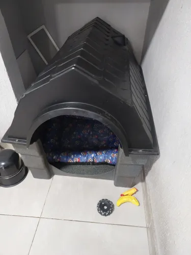 Casa grande para cães 