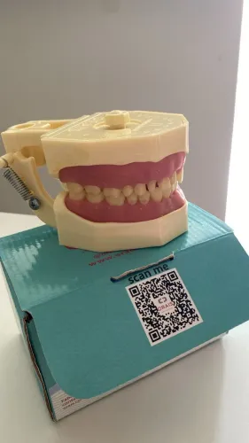 Vendo manequim de dentistica marca orais