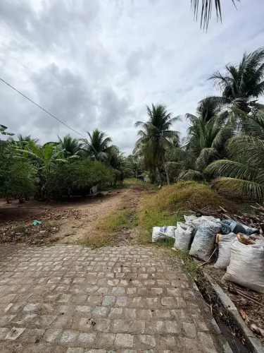 Area a Venda em Monte Alegre RN - 12 Hectares Zona Urbana