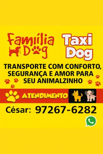 Táxi Dog - Transporte de Pets