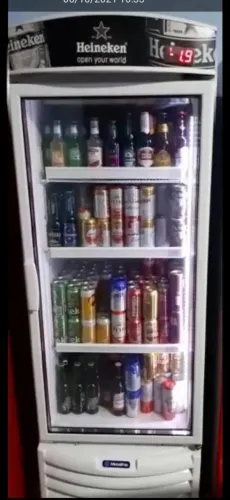 Cervejeira 220v