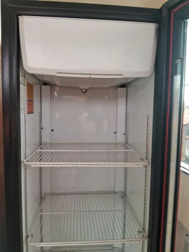 Vendo frezer vertical, ótimas condições. 