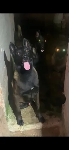 Disponivel para Cobertura 