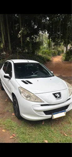 Peugeot 207 XR 1.4 Flex 8V 5P 2013