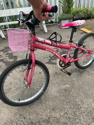 Bicicleta Infantil aro 20