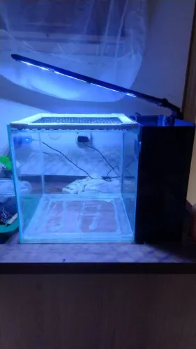 Aquário com sump traseiro