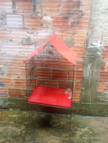 gaiola 