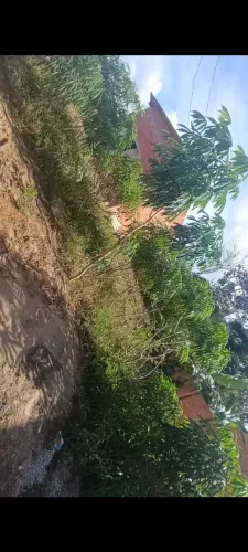Vende terreno no Portal da Amazônia 