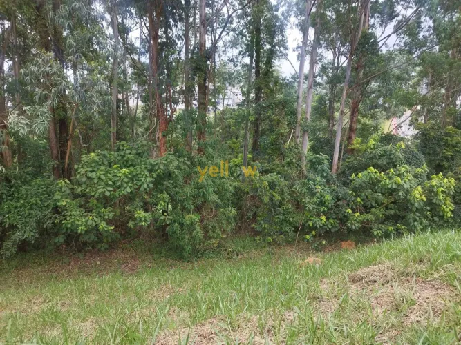 Terreno no Condomínio Real Park - Arujá, SP