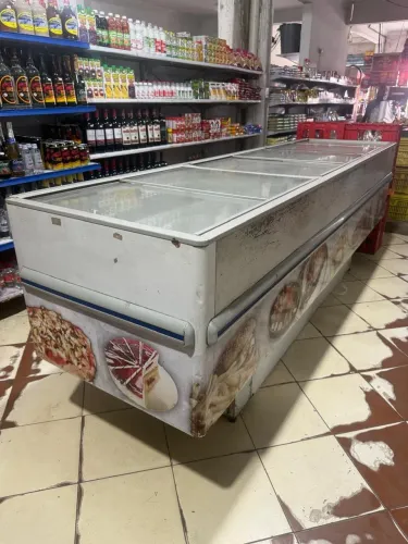 Freezer horizontal