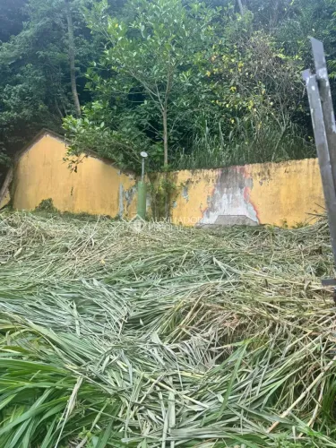 Terreno com natureza preservada.