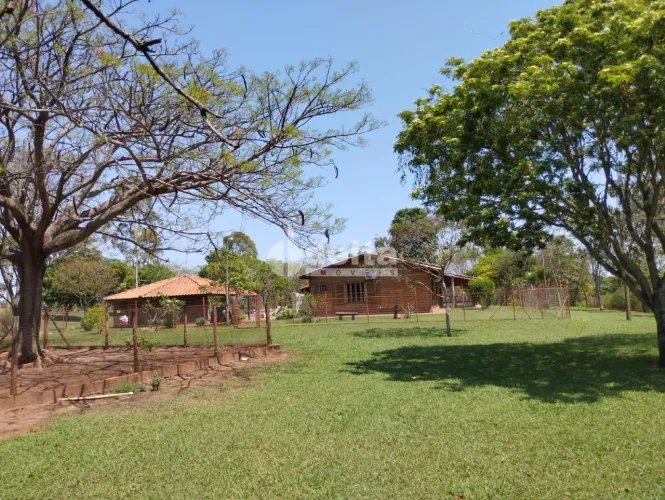 Chácara disponível para venda no bairro Zona Rural De Uberlândia em Uberlândia-MG