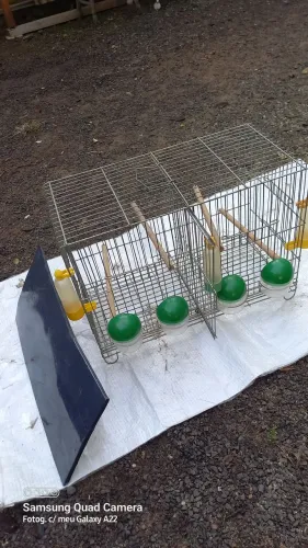 Vendo gaiola criadeira