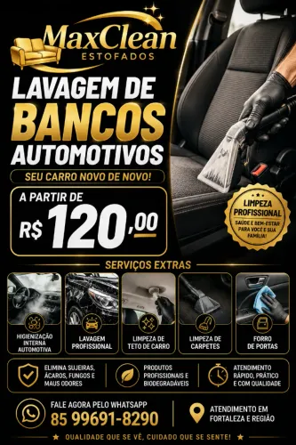 Lavagem a Seco