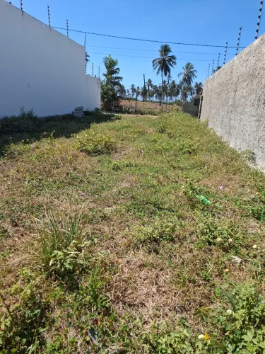 Luar da Barra 1 / Barra dos coqueiros