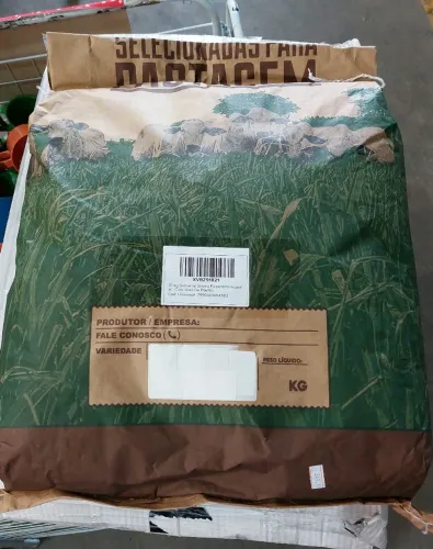 Semente Grama Esmeralda Imperial 