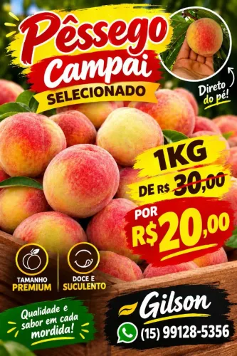 Pêssegos, doce e suculentos direto do produtor