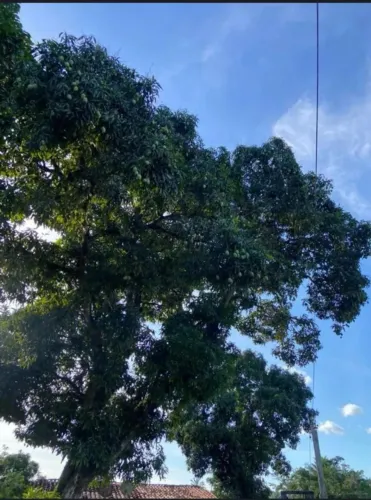 Fazenda em Cachoeira Bahia Linda