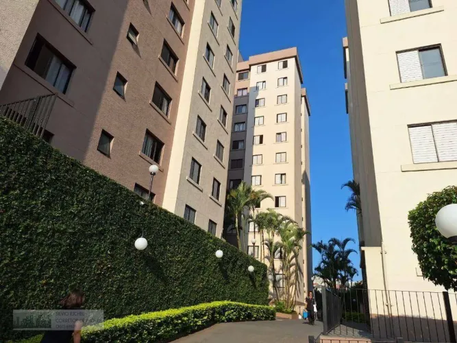 Apartamento na Vila Santa Catarina!!!