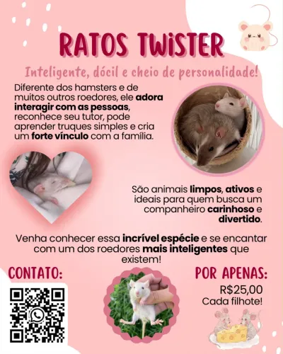 Ratos Twister