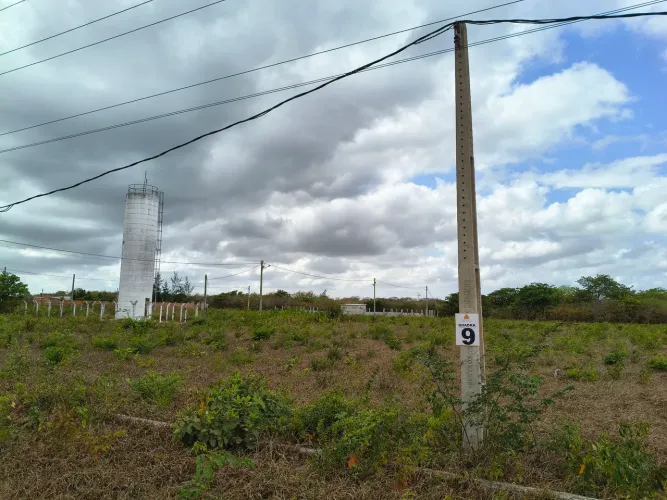 Vendo terreno em trairi