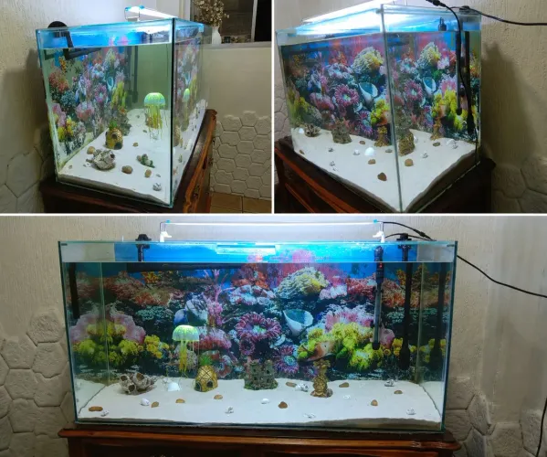 Aquário 200 litros,completo com canister!