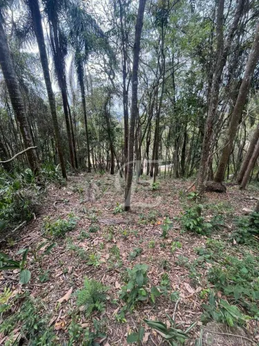 Terreno à venda, 5000 m² por R$ 299.000 - Serra da Cantareira - Mairiporã/SP